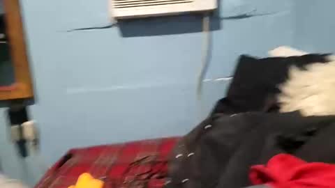 bigblu659 online show from January 9, 12:35 am