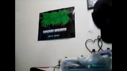 Snapshot of bigbrad0636 chatting on October 18, 12:21 pm AllOfTheLovin online show from October 18, 12:21 pm