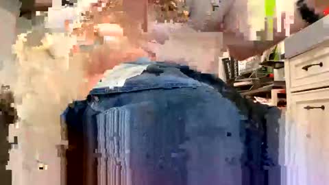 bigeddie88 online show from November 8, 2:26 am