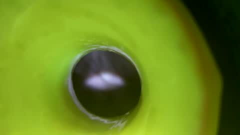 bigmoneycorey online show from April 1, 7:11 pm