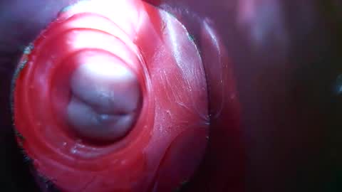 bigmoneycorey online show from March 10, 3:51 pm