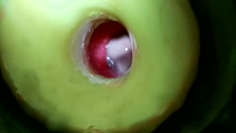 bigmoneycorey online show from April 23, 5:37 pm