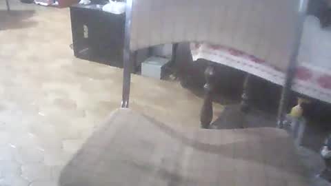 bigpenix online show from April 1, 1:40 am