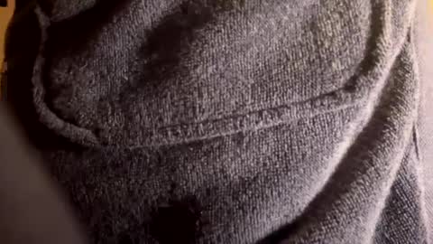 Big slug online show from February 11, 12:16 pm