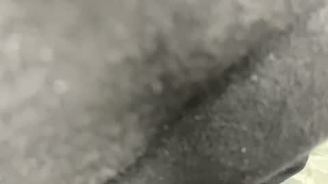 billy_magteo online show from August 7, 3:13 am