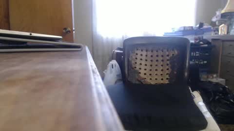 Bimbttm online show from December 19, 5:50 pm