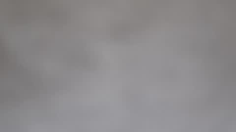 bizont85 online show from October 5, 5:06 pm