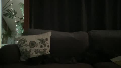 BlIdoL online show from December 18, 9:05 am