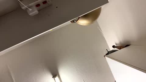 Blueyloey online show from January 21, 2:55 am