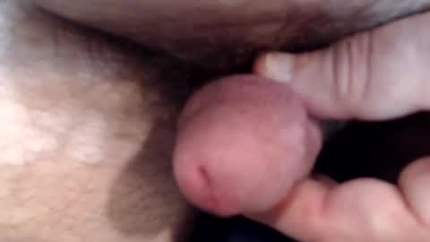 bobswan online show from March 8, 1:59 pm