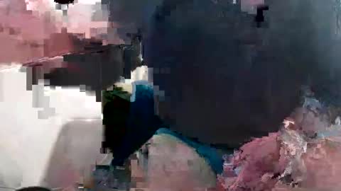 bolbil1 online show from October 28, 1:24 pm