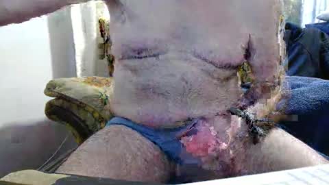 bolbil1 online show from February 10, 1:16 pm