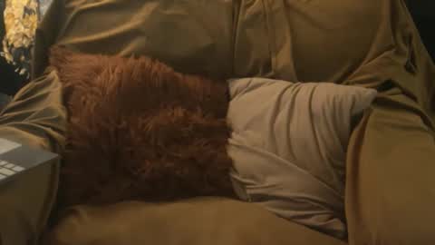 Bjorn Feral online show from March 26, 7:34 am