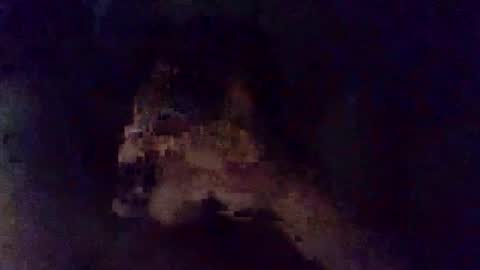 bonians71 online show from May 31, 2:34 am