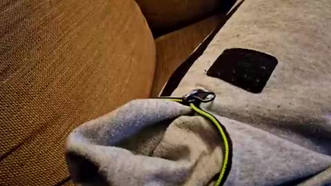 bonny8723 online show from October 18, 7:30 pm