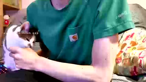 Boubou online show from March 12, 7:10 pm