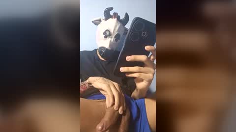 boycock25cm online show from July 2, 6:08 am