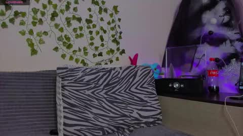 Johny Bravo online show from January 13, 8:02 pm