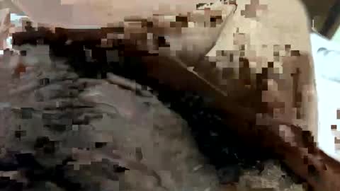 brazilianb0yy online show from March 5, 7:04 am