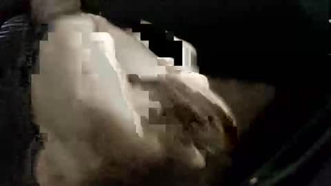 bright30 online show from December 4, 5:58 am