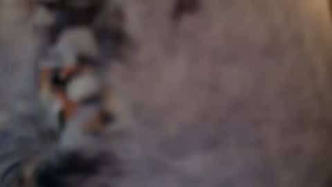 Tallguybbc online show from April 5, 2:35 pm