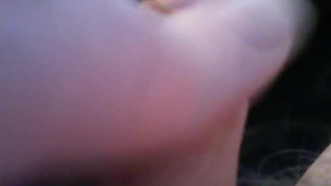 bullemoe online show from February 5, 8:32 am