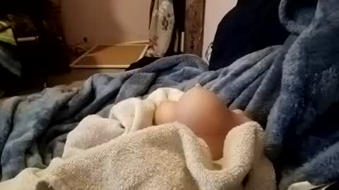 Buster18Hymen online show from March 12, 7:24 am