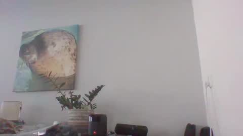 Dave online show from December 12, 12:44 pm