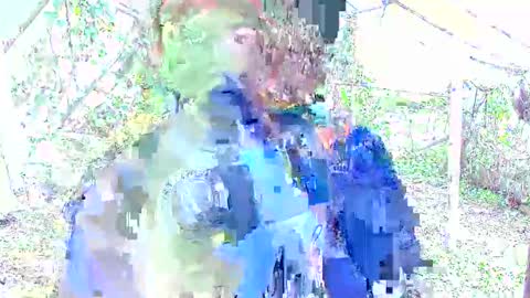 cameron_re online show from November 3, 4:20 pm