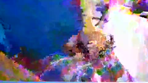 canon4ps4 online show from January 8, 10:15 am