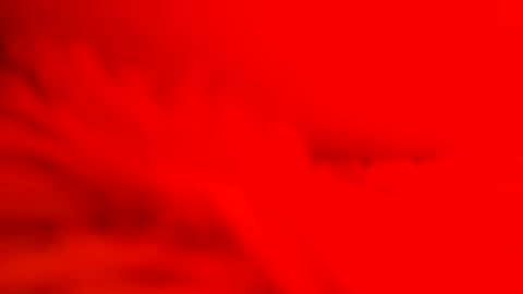 captain_nature online show from February 26, 7:09 am