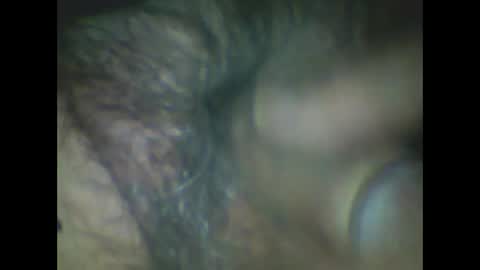 castells online show from January 8, 5:51 pm