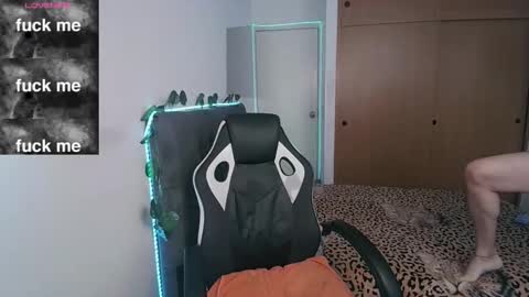 Cerso online show from November 9, 6:01 pm