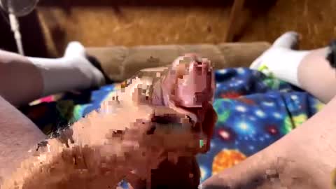 chasepeewee2 online show from December 26, 6:43 pm