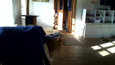 chefben666 online show from February 14, 11:27 am