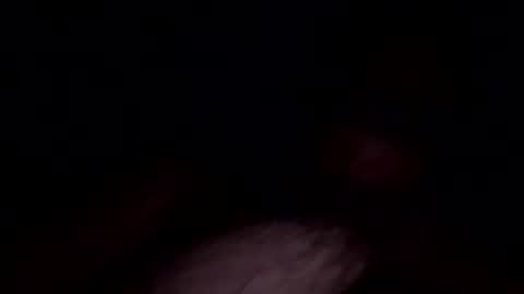 Chef online show from November 1, 4:27 am