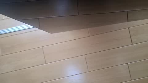 chipa69 online show from April 23, 3:03 pm