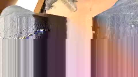 Snapshot of chodaddy737 chatting on February 1, 1:09 pm CHOdaddy online show from February 1, 1:09 pm