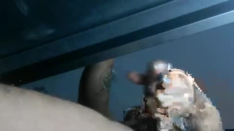 instayour big commander online show from October 25, 2:02 am