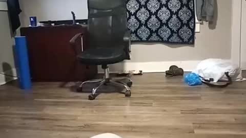 cockgod308236 online show from October 29, 9:29 pm