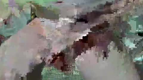 Snapshot of cogela_sin_miedo chatting on October 22, 3:38 pm cogela_sin_miedo online show from October 22, 3:38 pm