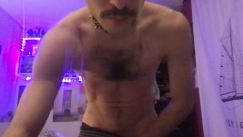 French doggy online show from January 25, 5:30 pm