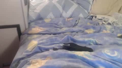 pantyhosesforme online show from November 26, 11:35 am