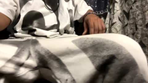 cumbustincock online show from December 1, 3:31 am