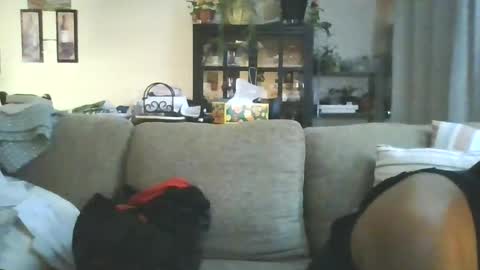 cumdumpslutfag online show from June 11, 9:51 am