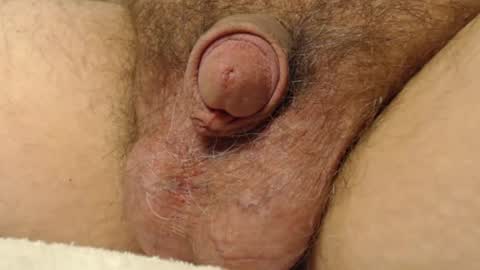 curve66 online show from November 17, 11:08 pm