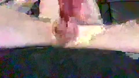 Snapshot of cwaddle chatting on February 3, 3:38 pm cwaddle online show from February 3, 3:38 pm