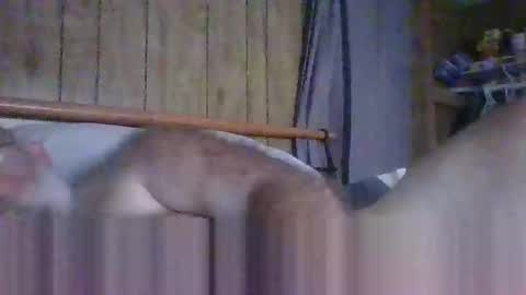 Snapshot of cwill27837 chatting on October 9, 5:07 pm cwill27837 online show from October 9, 5:07 pm
