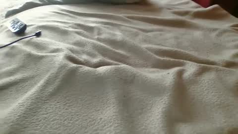 d_stroyer_p online show from December 19, 10:17 pm