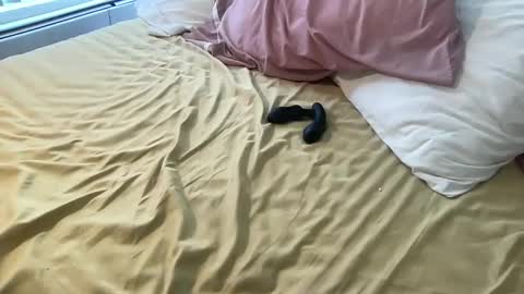 dadstrokin online show from March 8, 5:28 pm